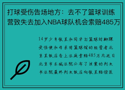 打球受伤告场地方：去不了篮球训练营致失去加入NBA球队机会索赔485万！法院：2364元